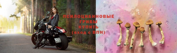 стаф Белоозёрский