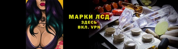 трава Беломорск