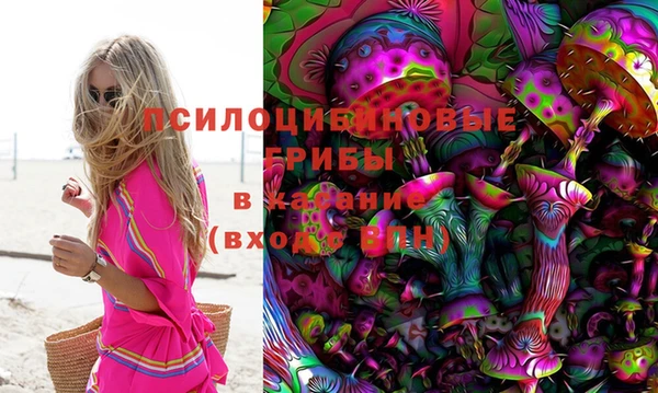 винт Сосновка