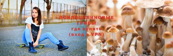 трава Беломорск
