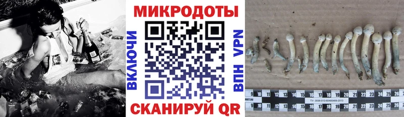 MEGA зеркало  купить закладку  Курлово  Галлюциногенные грибы Cubensis 